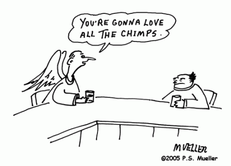 love the chimps