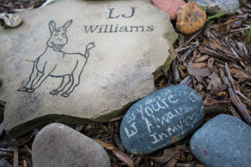 L.J.’s family surrounded his memorial stone with rocks carrying special notes