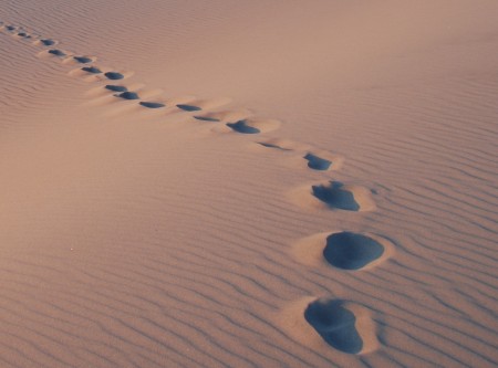 footprints-left