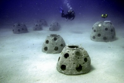 Reef Balls 