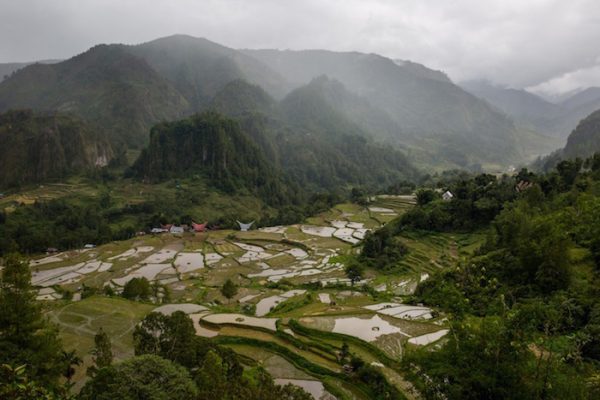 A landscape in Toraja.